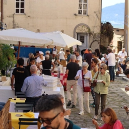 Camminando sulla strada...del vino. Il borgo diventa una cantina per esaltare il Vermentino Doc