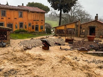 immagine articolo