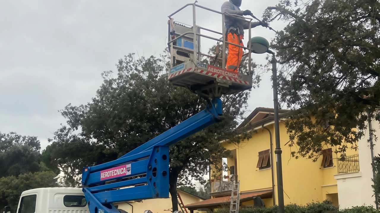 Accusata spesso di sacrificare il verde al cemento nel Piano di Sostenibilità approvato dalla giunta si specifica che dal 2023... Accusata spesso di sacrificare il verde al cemento nel Piano di Sostenibilità approvato dalla giunta si specifica che dal 2023...