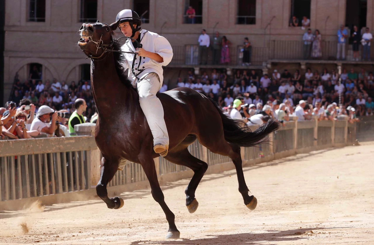 immagine di sfondo 15