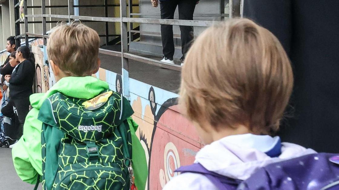 Un caso di scabbia a scuola : "Situazione sotto controllo. Eseguito il protocollo Asl"