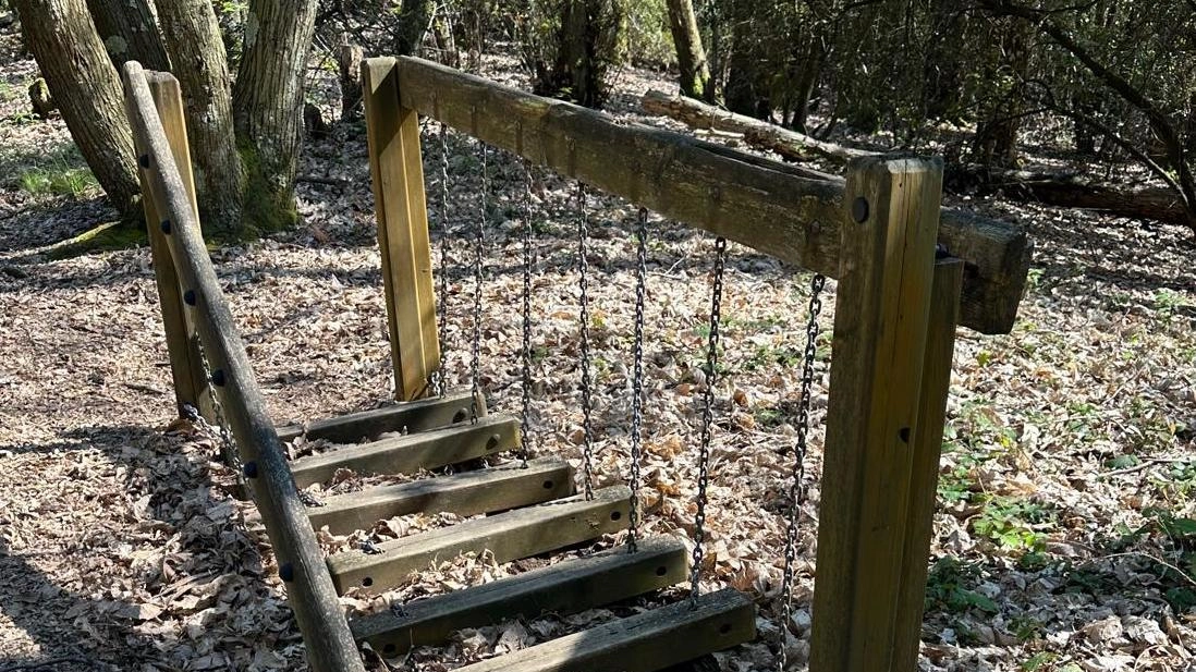La palestra nel verde è diventata addirittura fin troppo “green”: una foresta inaccessibile e soprattutto non più in linea... La palestra nel verde è diventata addirittura fin troppo “green”: una foresta inaccessibile e soprattutto non più in linea...