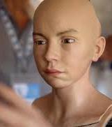 Il festival della cultura digitale. Tra gli ospiti un robot e... Platone Il festival della cultura digitale. Tra gli ospiti un robot e... Platone