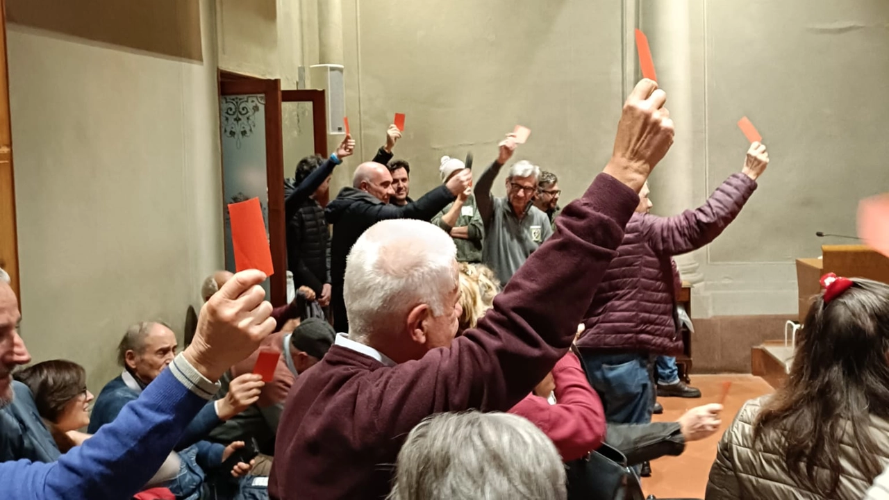 La protesta del comitato ’Stadio sì ma non così’ in consiglio comunale La protesta del comitato ’Stadio sì ma non così’ in consiglio comunale