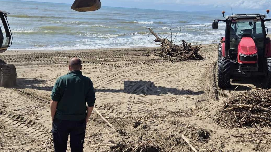 La prima pulizia stagionale delle spiagge a Castiglione è iniziata. I lavori per la rimozione dei materiali accumulatesi durantesi...
