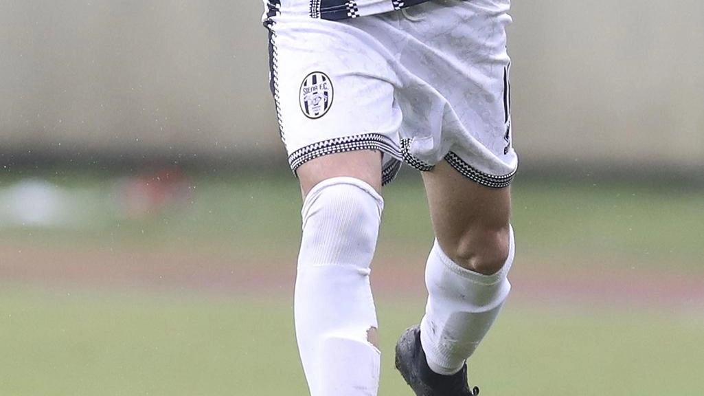 Qualche infortunio dell’ultima ora ha costretto mister Magrini a ridisegnare nuovamente la formazione della Robur: Morosi ha dato forfait per... Qualche infortunio dell’ultima ora ha costretto mister Magrini a ridisegnare nuovamente la formazione della Robur: Morosi ha dato forfait per...