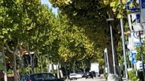 Viale Firenze Viale Firenze