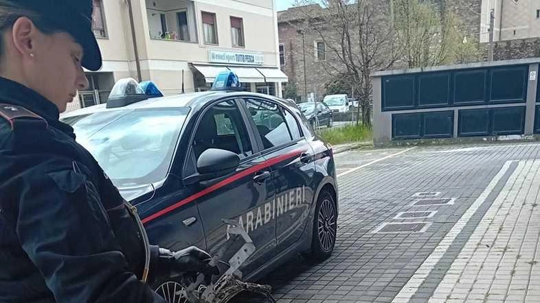 Alcuni pezzi dello sportello bancomat fatto esplodere ieri notte a Lunata