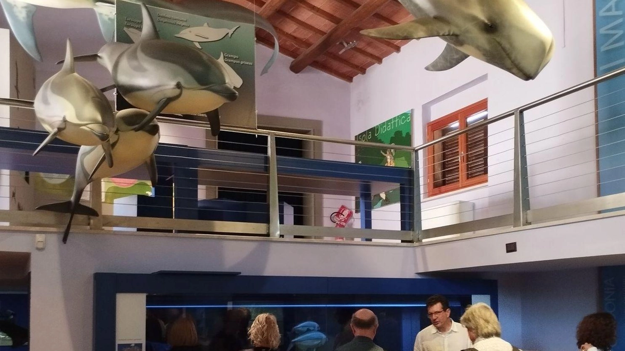 Una delle visite al Museo di Storia Naturale della Maremma che oggi, come molti altri in tutta la provincia sarà aperto al pubblico gratuitamente Una delle visite al Museo di Storia Naturale della Maremma che oggi, come molti altri in tutta la provincia sarà aperto al pubblico gratuitamente