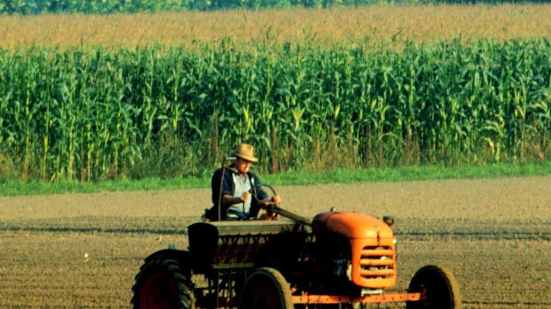 Il settore agricolo e l’occupazione. Il comparto tiene e cresce ancora: "Ma l’Ue è nella direzione contraria"