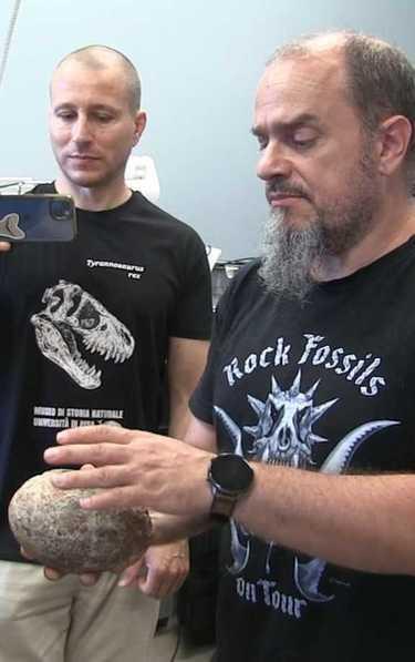 https://www.lanazione.it/image-service/view/acePublic/alias/contentid/MmFmYTk3NDYtNDk5Mi00/0/il-gamps-nella-ricerca-su-due-uova-di-dinosauro-di-80-milioni-di-anni-fa.jpeg