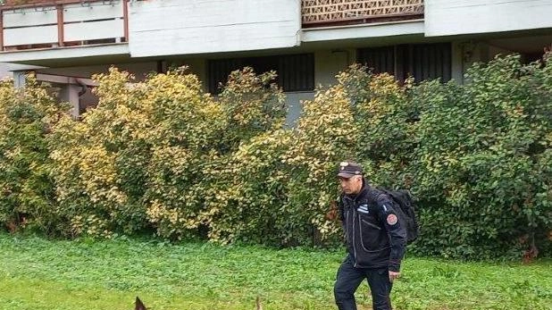 TERNI Alcune aree verdi sono state controllate dai carabinieri Forestali con Asia, cane antiveleno . In particolare i militari hanno ispezionato... TERNI Alcune aree verdi sono state controllate dai carabinieri Forestali con Asia, cane antiveleno . In particolare i militari hanno ispezionato...