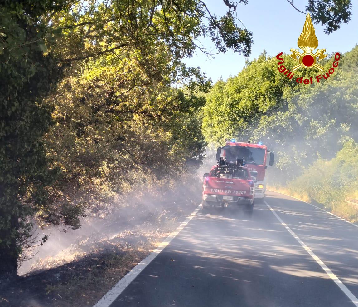 Doppio incendio nel senese: in fiamme bosco e sterpaglie tra Torrita e Radicondoli Doppio incendio nel senese: in fiamme bosco e sterpaglie tra Torrita e Radicondoli