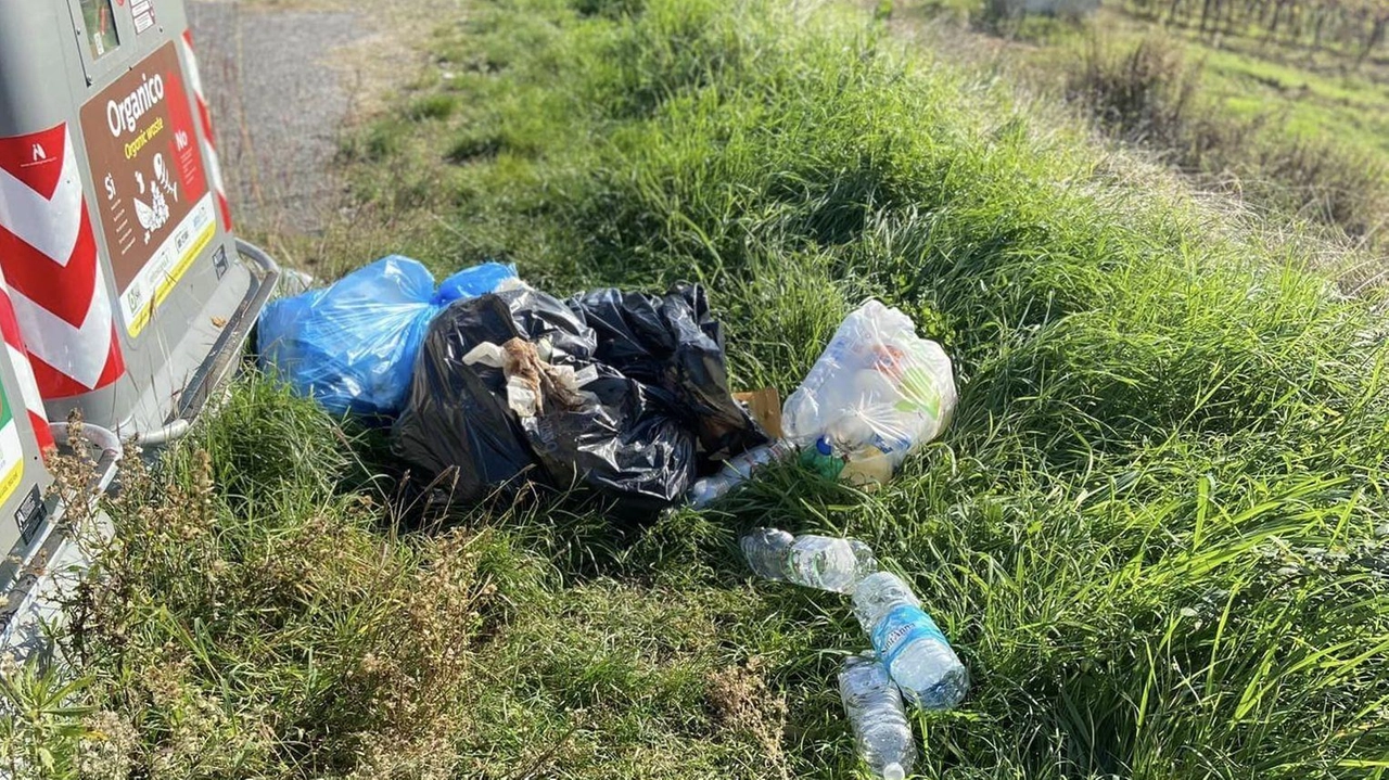 Sacchetti lasciati fuori dai cassonetti quasi a prendersi gioco delle regole Sacchetti lasciati fuori dai cassonetti quasi a prendersi gioco delle regole
