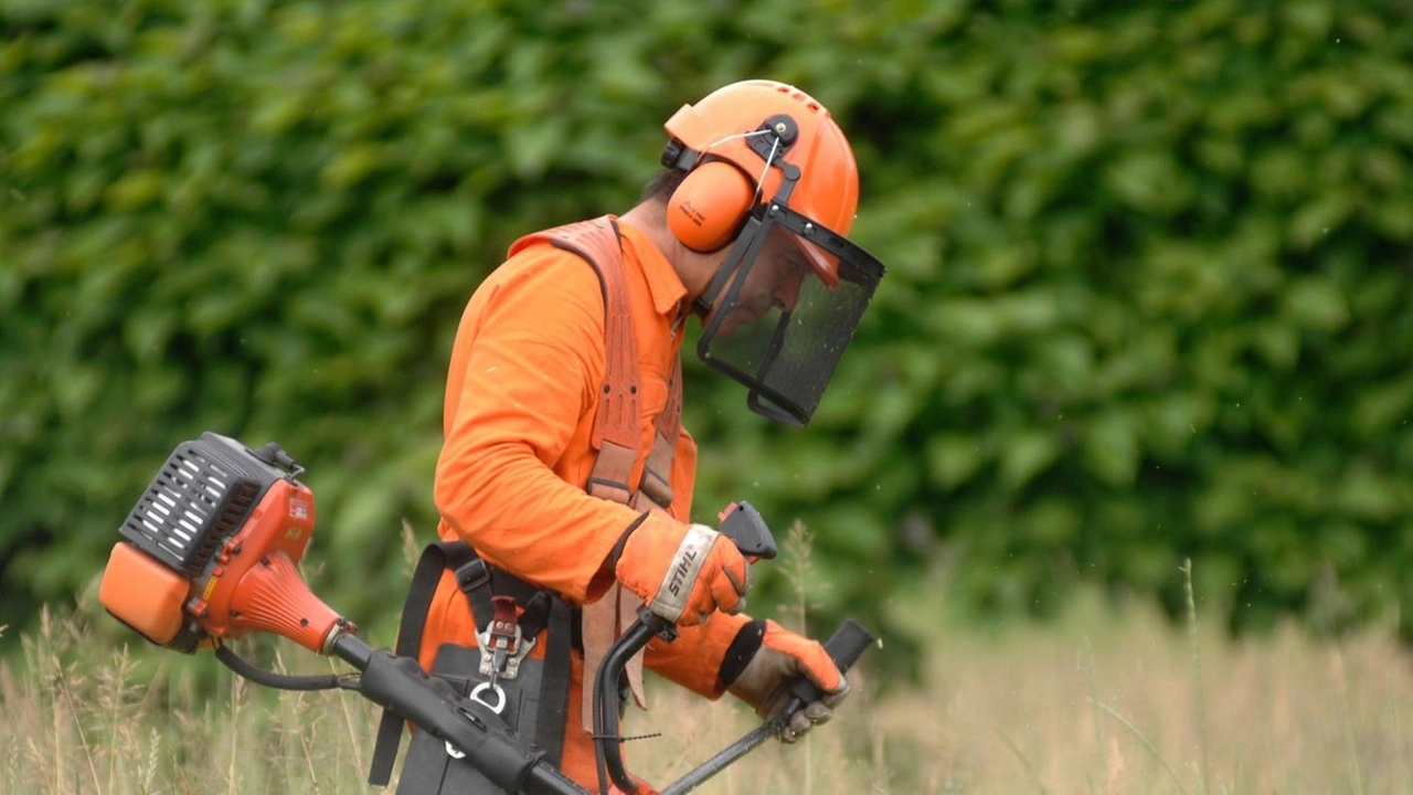E’ iniziato il corso per “manutentori del verde”, figura altamente qualificata che necessita di un percorso di formazione appositamente studiato.... E’ iniziato il corso per “manutentori del verde”, figura altamente qualificata che necessita di un percorso di formazione appositamente studiato....