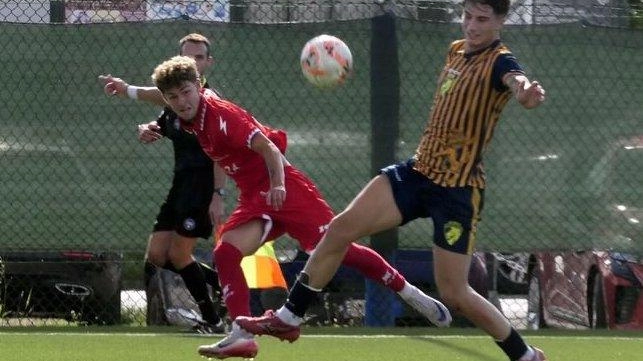 L’esterno d’attacco classe 2007 Luca Baroni (figlio dell’ex presidente del Viareggio 2014 Cristiano Baroni) domenica è stato la chiave delle zebre