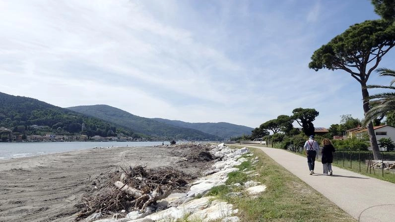 Il lungofiume di Fiumaretta ancora invaso dal legname portato dal Magra