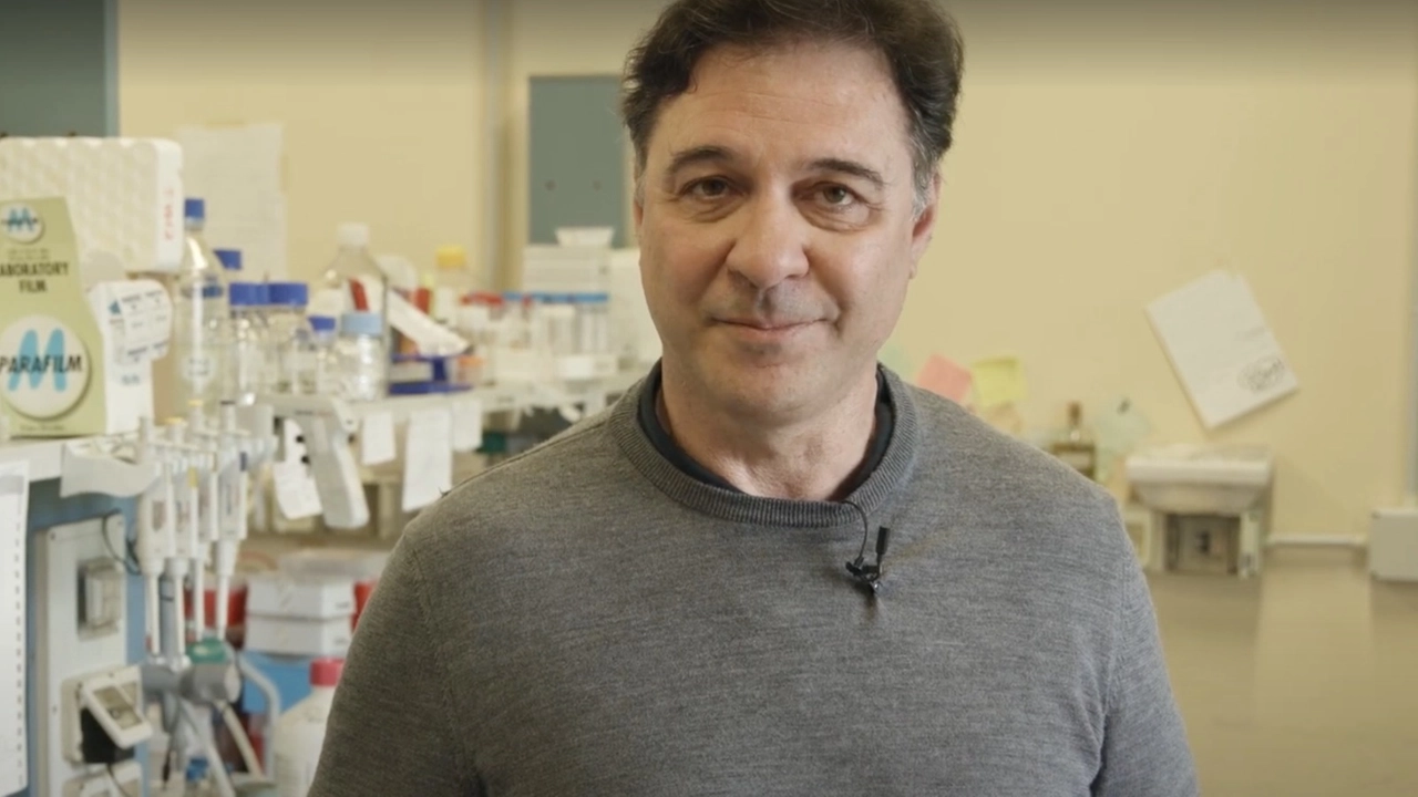 il professore di Fisiologia alla Scuola Normale Alessandro Cellerino il professore di Fisiologia alla Scuola Normale Alessandro Cellerino