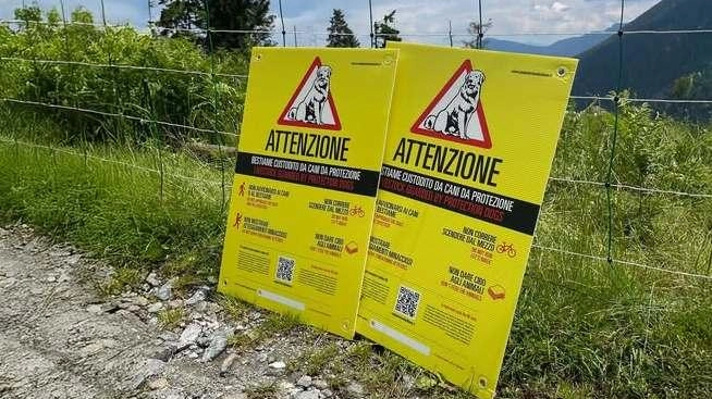 I cartelli installati dal comune di Zeri in collaborazione con alcune associazioni per segnalare la presenza delle greggi e dei cani da pastore con le indicazioni su tutti i comportamenti corretti da tenere