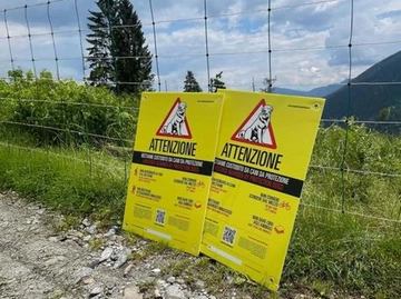 immagine articolo