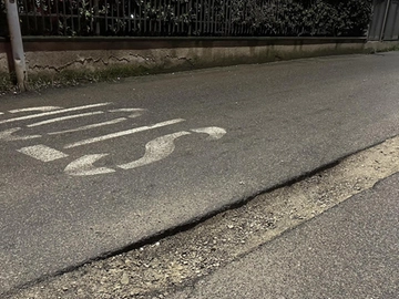immagine articolo