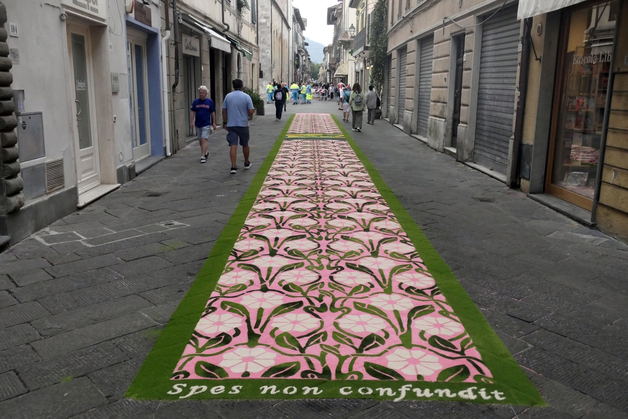 immagine di sfondo 3