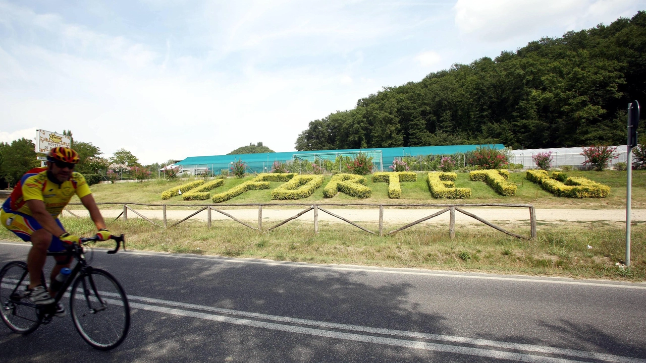 Il tribunale di Firenze ha nominato un curatore per la cooperativa agricola in liquidazione. Michelotti (FdI): "La commissione seguirà l’iter che porterà all’insediamento al passivo". Il tribunale di Firenze ha nominato un curatore per la cooperativa agricola in liquidazione. Michelotti (FdI): "La commissione seguirà l’iter che porterà all’insediamento al passivo".