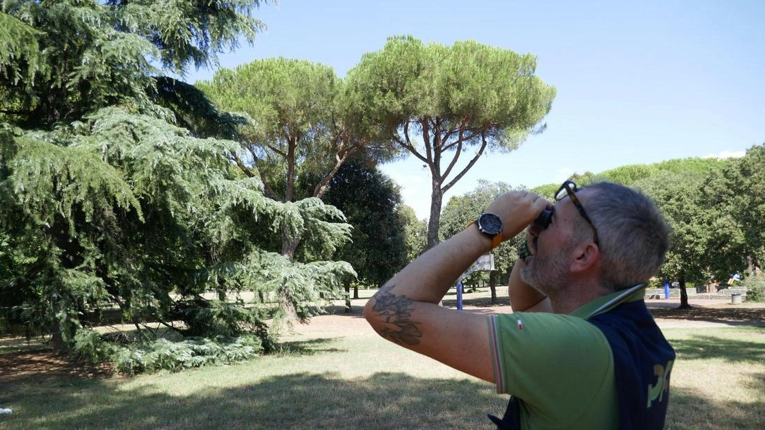 È terminata la verifica a campione delle piante dopo l’ondata di maltempo che ha colpito. la provincia il 20 agosto