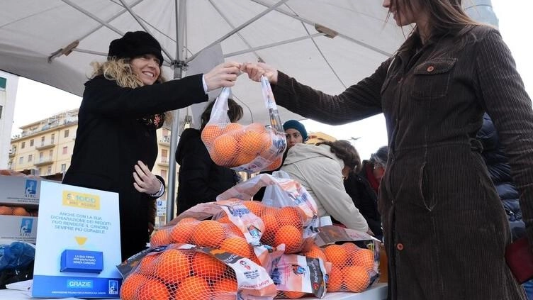 Torna in città, a Forte dei Marmi e a Pietrasanta la piazza con le arance Torna in città, a Forte dei Marmi e a Pietrasanta la piazza con le arance