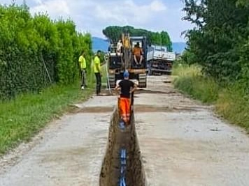 immagine articolo