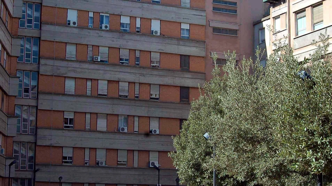 Intervento di eccellenza all’azienda ospedaliera Santa Maria per il trattamento dell’obesità patologica, con l’esecuzione di una operazione di gastroplastica endoscopica.... Intervento di eccellenza all’azienda ospedaliera Santa Maria per il trattamento dell’obesità patologica, con l’esecuzione di una operazione di gastroplastica endoscopica....