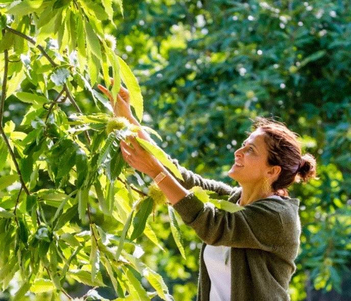 A Sorano si accende il dialogo tra territori, turismo e cultura con ‘Conversazioni nel Castagneto’ A Sorano si accende il dialogo tra territori, turismo e cultura con ‘Conversazioni nel Castagneto’