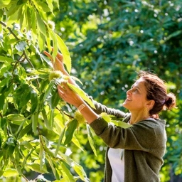 A Sorano si accende il dialogo tra territori, turismo e cultura con ‘Conversazioni nel Castagneto’