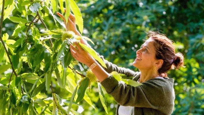 L'appuntamento a Sorano L'appuntamento a Sorano