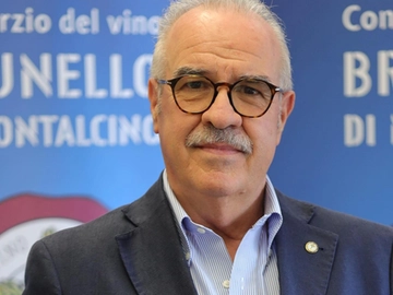 immagine articolo