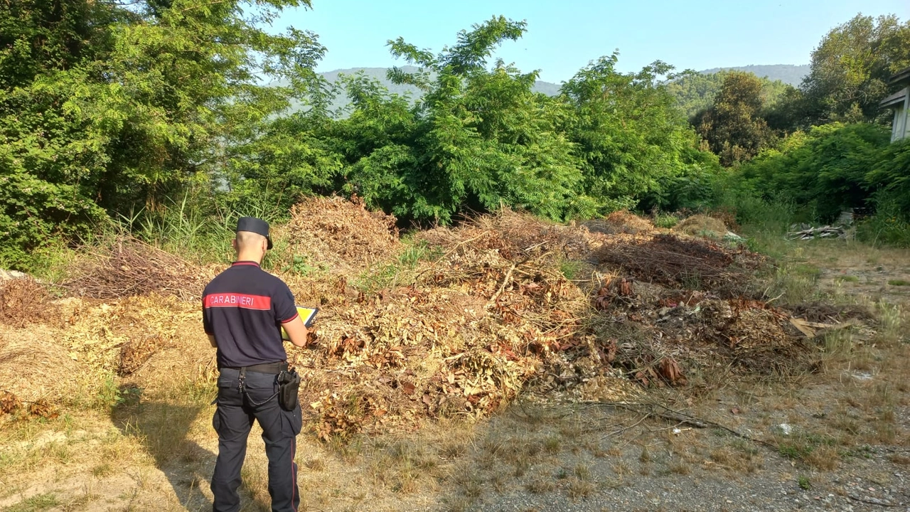 Abbandona piastrelle e sanitari in un terreno, incastrato dalle fototrappole