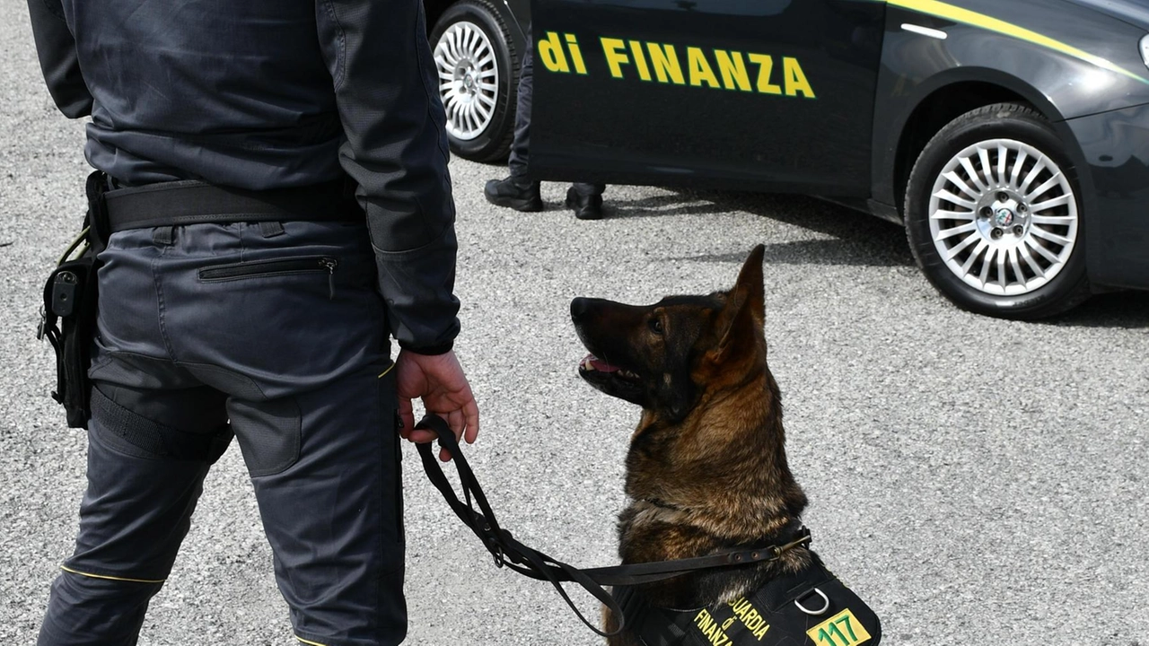 Il grande lavoro della guardia di finanza per la sicurezza pubblica Il grande lavoro della guardia di finanza per la sicurezza pubblica