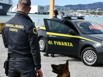 immagine articolo