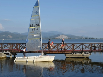immagine articolo
