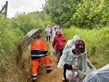 immagine articolo