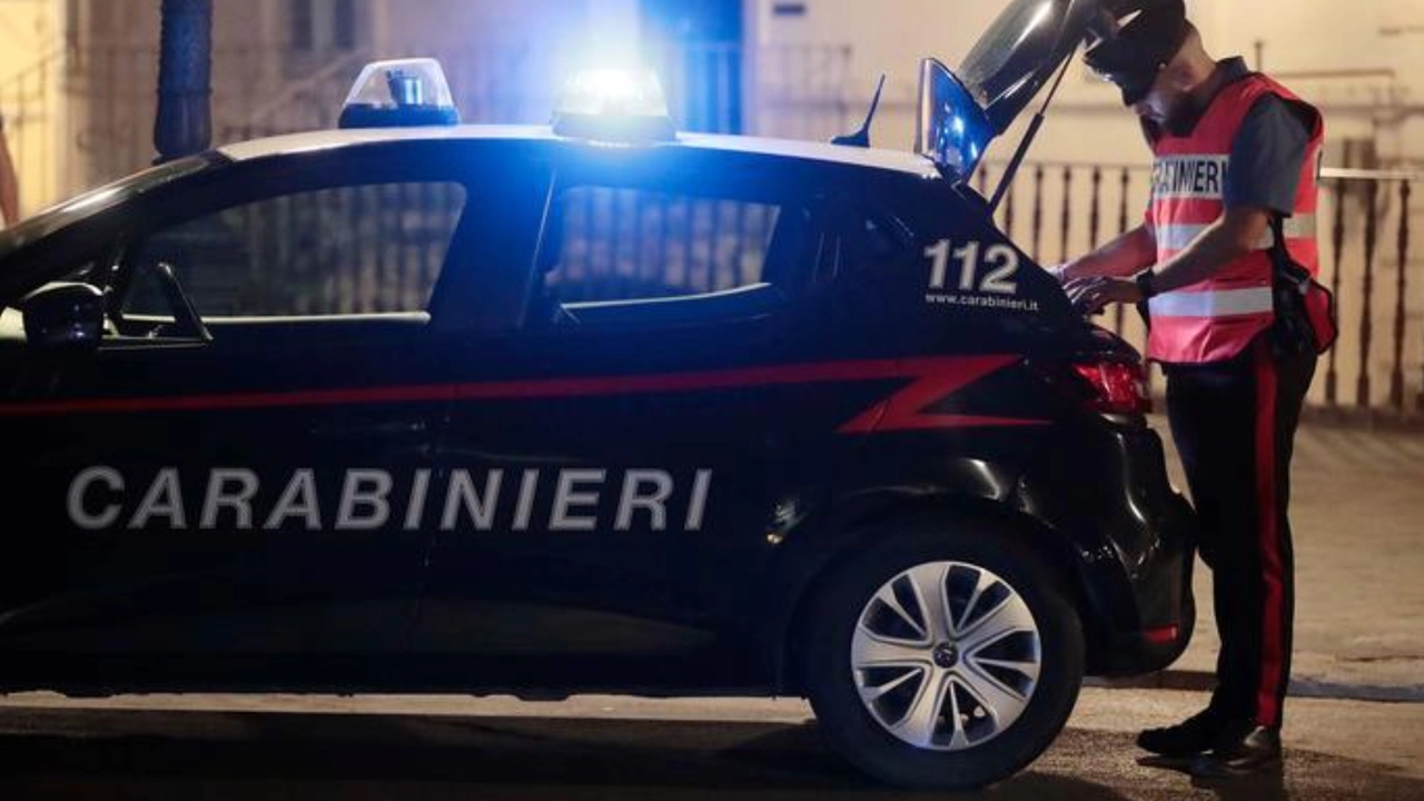 Sulla vicenda indagano i carabinieri (foto di repertorio) Sulla vicenda indagano i carabinieri (foto di repertorio)