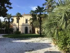 immagine articolo