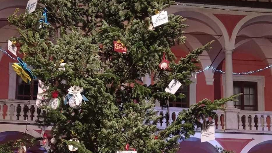 L'Albero di Natale delle associazioni si accende a Montignoso con eventi culturali e la partecipazione di scuole e istituzioni locali. L'Albero di Natale delle associazioni si accende a Montignoso con eventi culturali e la partecipazione di scuole e istituzioni locali.