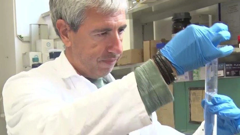 Studi scientifici hanno evidenziato i potenziali effetti negativi di Pfas sulla salute umana, tra cui danni al fegato, malattie della tiroide, obesità. Studi scientifici hanno evidenziato i potenziali effetti negativi di Pfas sulla salute umana, tra cui danni al fegato, malattie della tiroide, obesità.