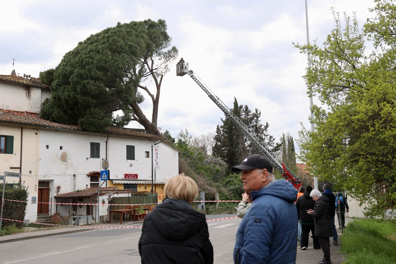 immagine di sfondo 12