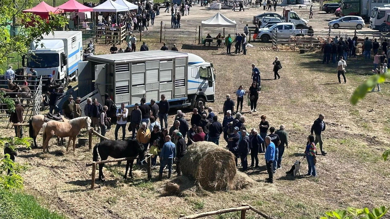 secolare “Fiera di San Marco“ a Soliera Apuana nella giornata di ieri ha richiamato centinaia di persone e famiglie con bimbi