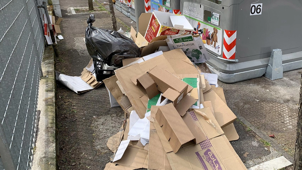 Le isole ecologiche in centro città: il Pd ha individuato la necessità di doppi turni degli operatori e di. un nuovo passo nella gestione dei rifiuti Le isole ecologiche in centro città: il Pd ha individuato la necessità di doppi turni degli operatori e di. un nuovo passo nella gestione dei rifiuti
