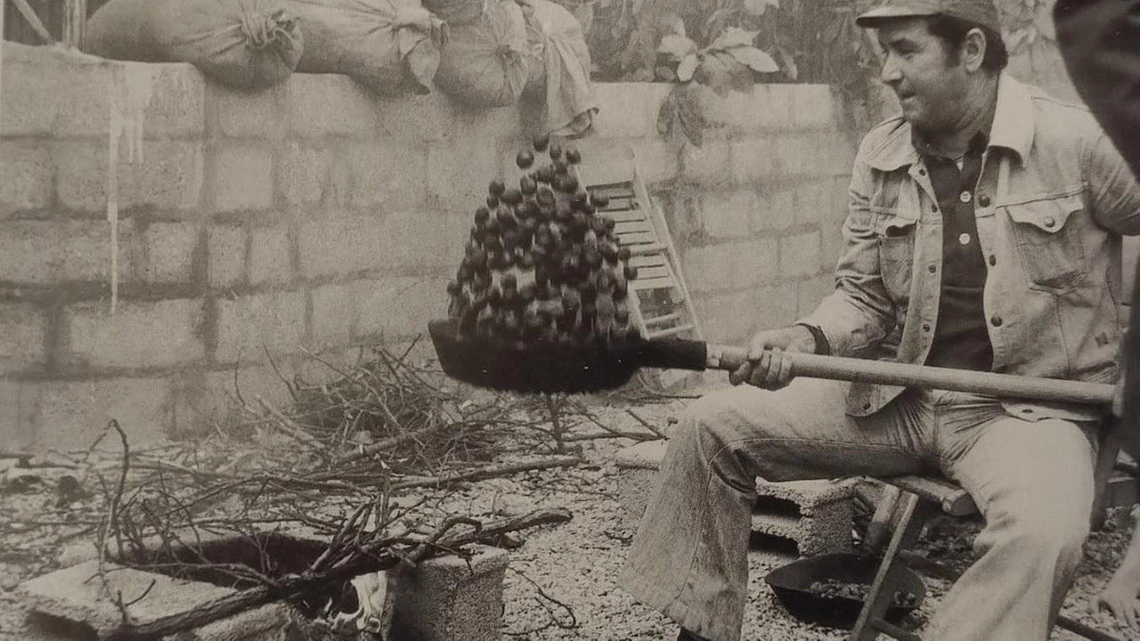 Un’immagine d’epoca della «Sbruciatata» di Migliana. Alla tradizionale festa delle castagne, domenica, gli abitanti del borgo prepareranno le bruciate per tutti gli ospiti Un’immagine d’epoca della «Sbruciatata» di Migliana. Alla tradizionale festa delle castagne, domenica, gli abitanti del borgo prepareranno le bruciate per tutti gli ospiti