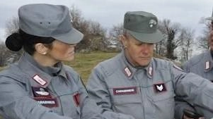 Taglio del bosco in zona Campo solare, il Comune chiede ai carabinieri forestali di fare le verifiche. Il taglio di... Taglio del bosco in zona Campo solare, il Comune chiede ai carabinieri forestali di fare le verifiche. Il taglio di...