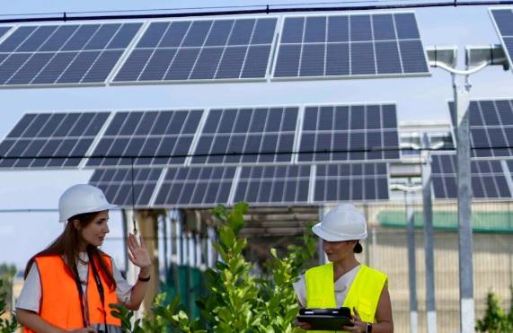 Parchi eolici e agrivoltaici, Maremma presa d’assalto. E si infiamma la polemica Parchi eolici e agrivoltaici, Maremma presa d’assalto. E si infiamma la polemica